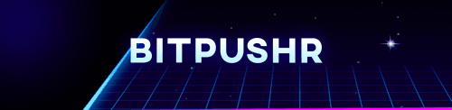 bitpushr Services